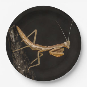 Praying Mantis Cute And Creepy Insect Art Paper Plates