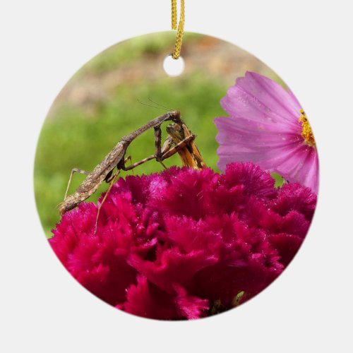 Praying Mantis Dining on a Moth Ceramic Ornament