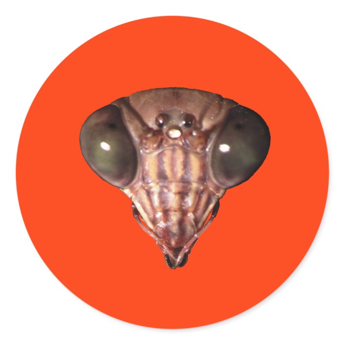 Praying Mantis Face Sticker