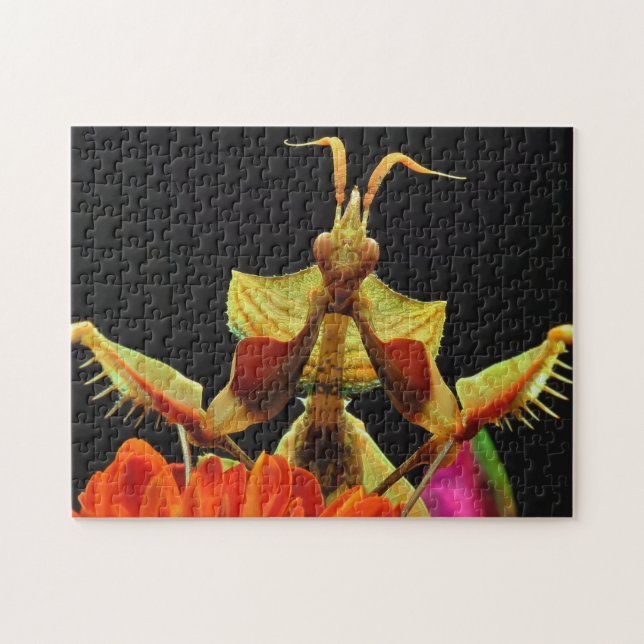 Praying Mantis Flowers Photo Puzzle (Horizontal)