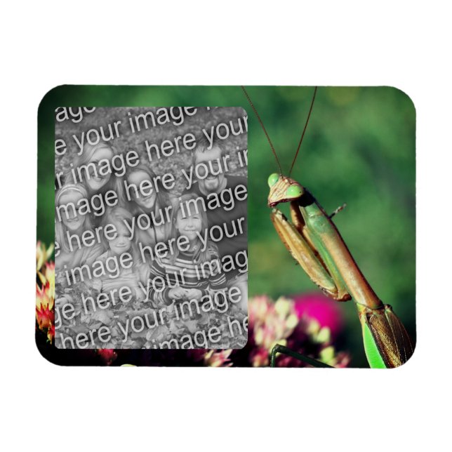 Praying Mantis Frame Create Your Own Photo Magnet (Horizontal)