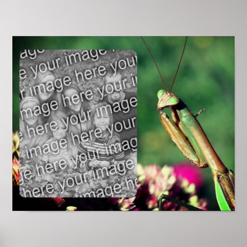 Praying Mantis Frame Create Your Own Photo Poster