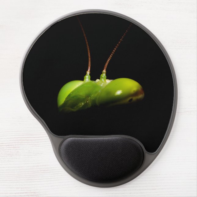 Praying mantis gel mouse pad (Front)