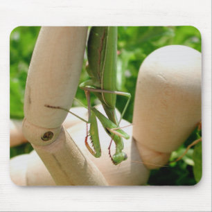 Praying Mantis Hanging Down Mouse Pad