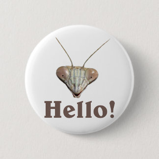 Praying Mantis Hello Pinback Button