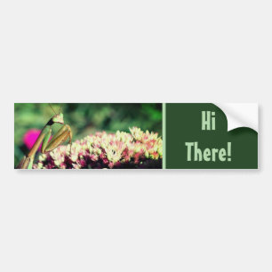 Praying Mantis Hi There Cute Bumper Sticker