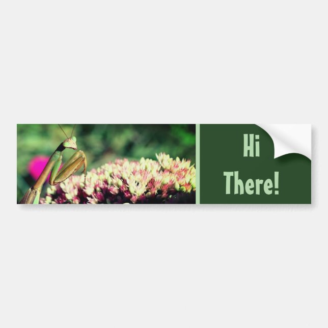Praying Mantis Hi There Cute  Bumper Sticker (Front)