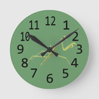 Praying Mantis Insect Painting Wall Clock