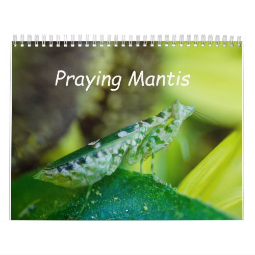 Praying Mantis Insects Calendar