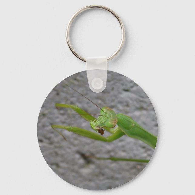 Praying Mantis keychain (Front)