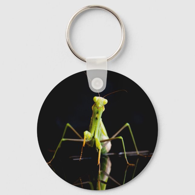 Praying mantis keychain (Front)