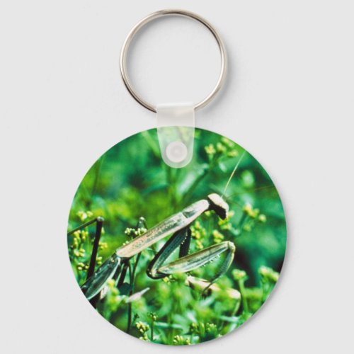 Praying Mantis Keychain