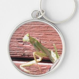 Praying Mantis Keychain