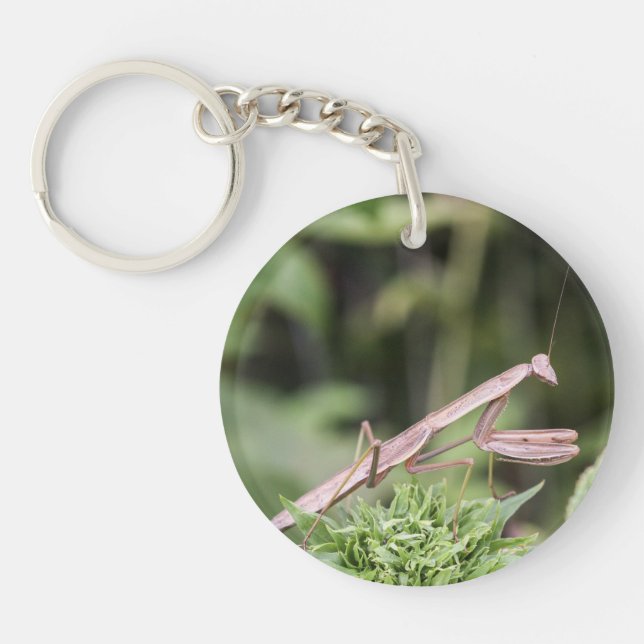 Praying Mantis Keychain (Front)