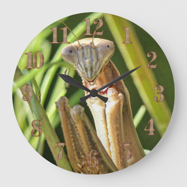 Praying Mantis Large Clock (Front)