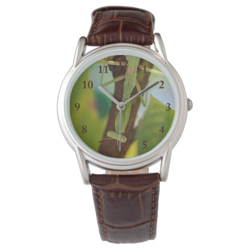 Praying Mantis Leather Watch