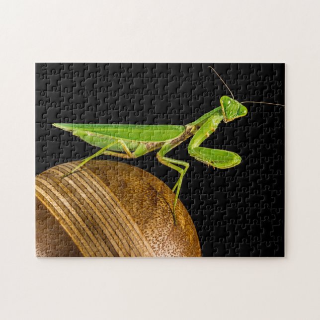 Praying Mantis Macro Jigsaw Puzzle (Horizontal)