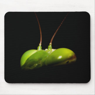 Praying mantis mouse pad