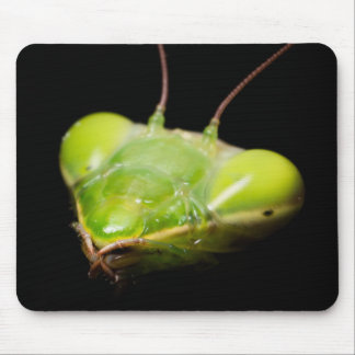 Praying mantis mouse pad