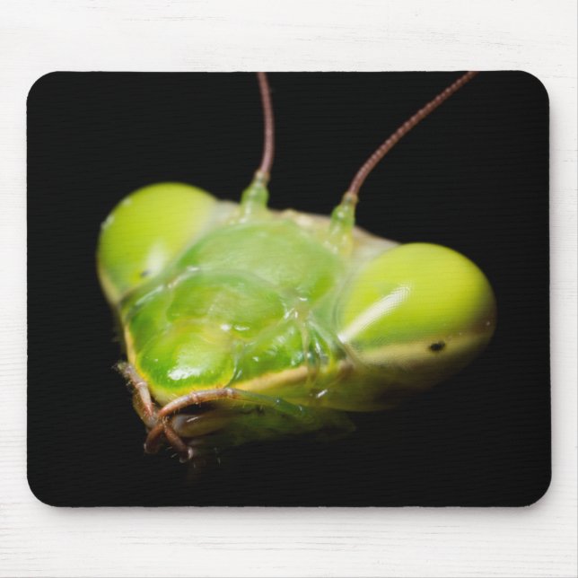 Praying mantis mouse pad (Front)