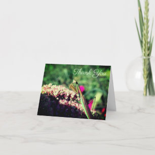 Praying Mantis Nature Customizable Letterpress Thank You Card