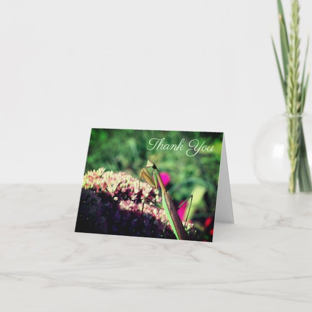 Praying Mantis Nature Customizable  Letterpress Thank You Card (Front)