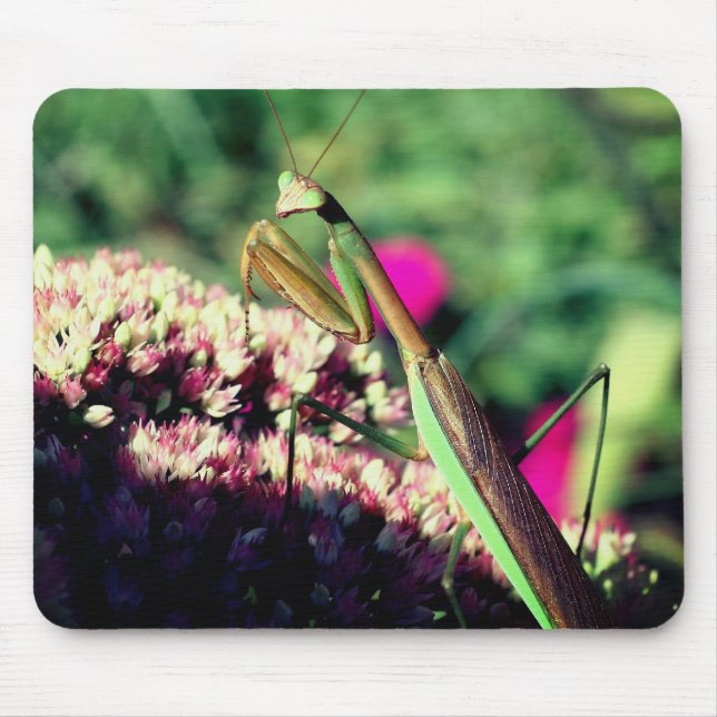 Praying Mantis Nature Mouse Pad (Front)