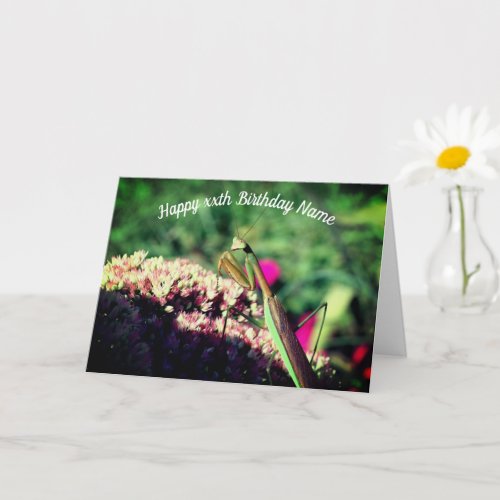 Praying Mantis Nature Personalized Birthday  Card