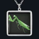 Praying Mantis Necklace<br><div class="desc">This insect is the most awesome insect ever. It has style, all the right moves and looks great on jewelry! Make it at home around your neck!</div>