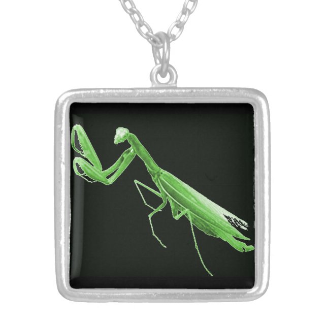 Praying Mantis Necklace (Front)