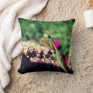 Praying Mantis On Sedum Flower Close Up Throw Pillow