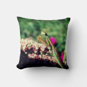 Praying Mantis On Sedum Flower Close Up Throw Pillow