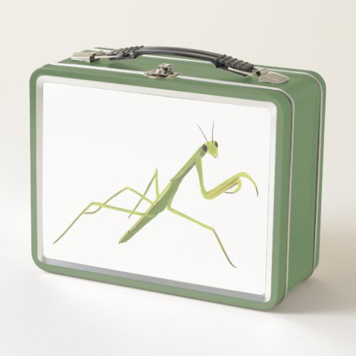 Praying Mantis on white background lunch boxes
