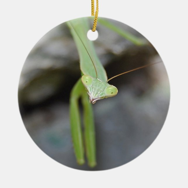 Praying Mantis ornament (Front)