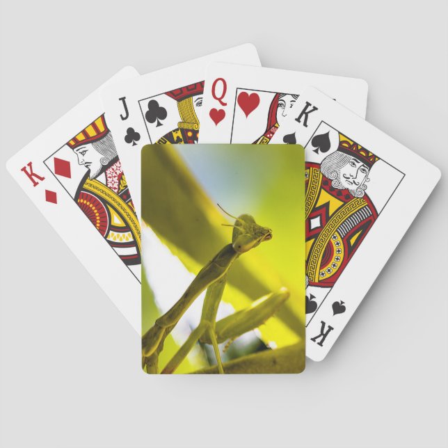 Praying Mantis Playing Cards (Back)