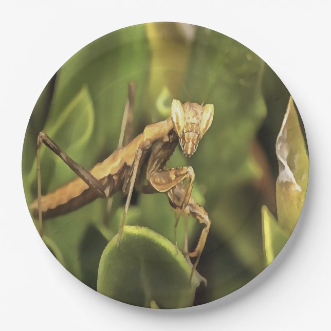 Praying Mantis Portrait Insect Art  Paper Plates (Front)