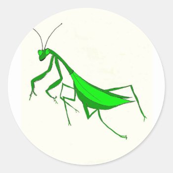 Praying Mantis Products Classic Round Sticker by BeeHappyNow at Zazzle