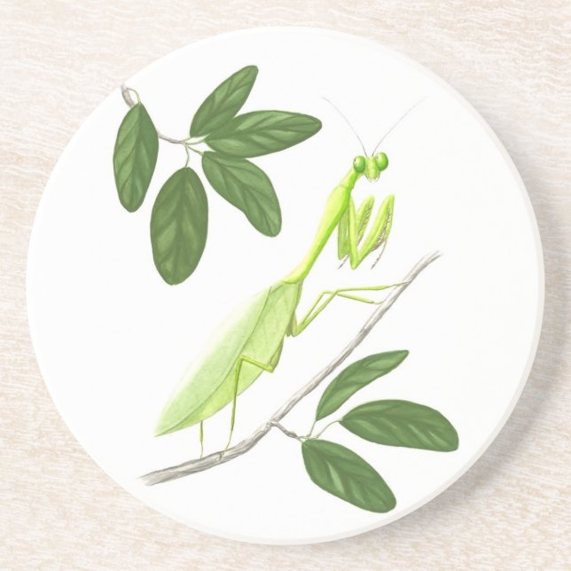 Praying Mantis Sandstone Coaster (Front)