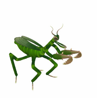 Praying Mantis Sculpture