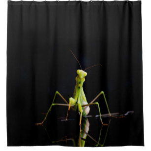 Praying mantis shower curtain