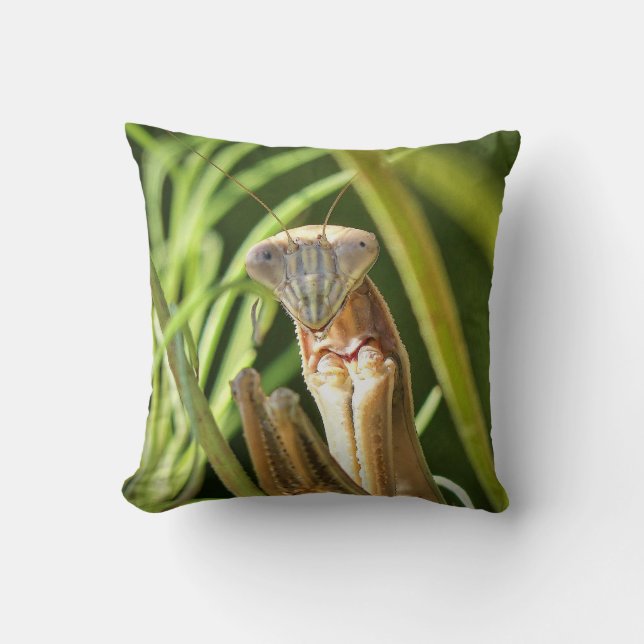 Praying Mantis Throw Pillow (Front)