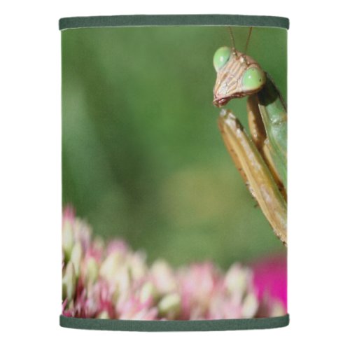 Praying Mantis Up Close Insect  Lamp Shade