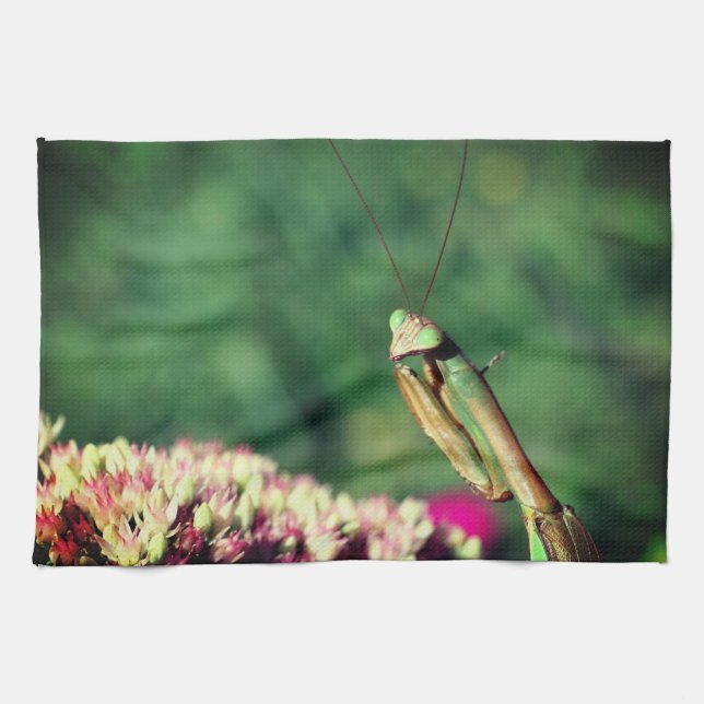Praying Mantis Up Close   Kitchen Towel (Horizontal)