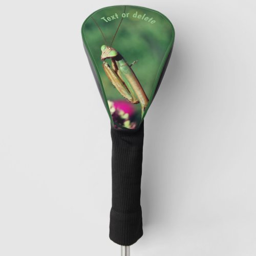 Praying Mantis Up Close Personalized Golf Head Cover