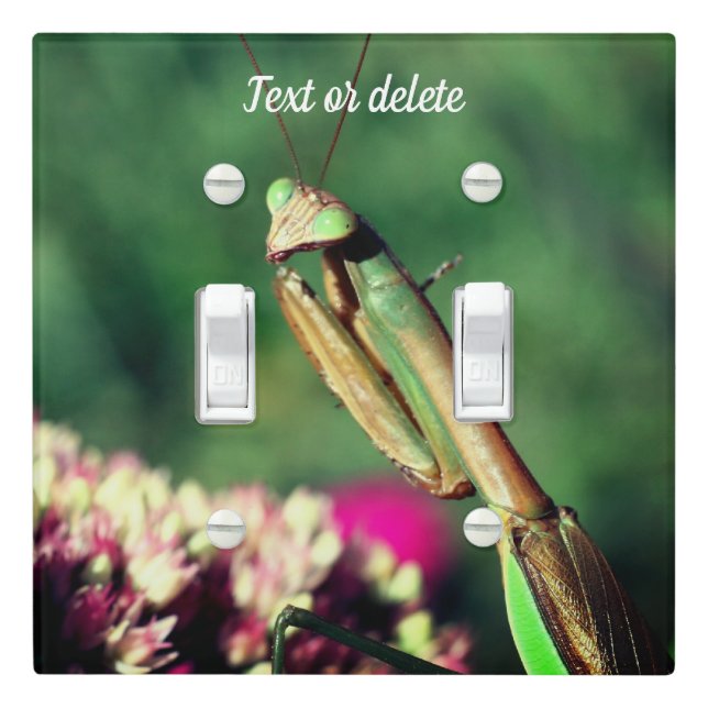 Praying Mantis Up Close Personalized  Light Switch Cover (In Situ)