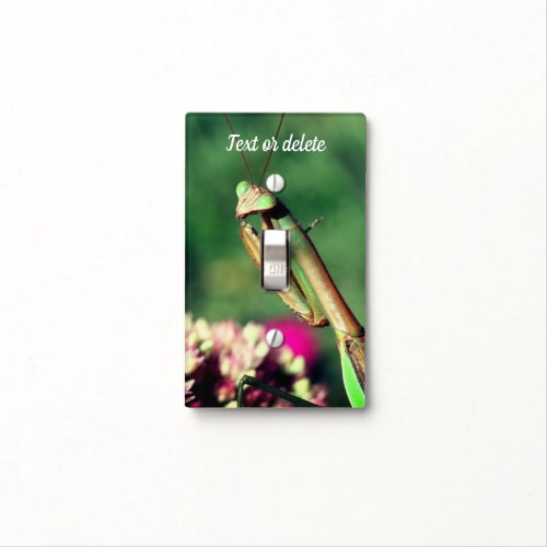 Praying Mantis Up Close Personalized  Light Switch Cover