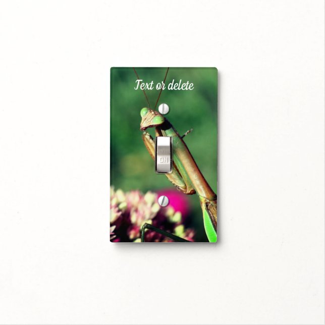 Praying Mantis Up Close Personalized  Light Switch Cover (In Situ)