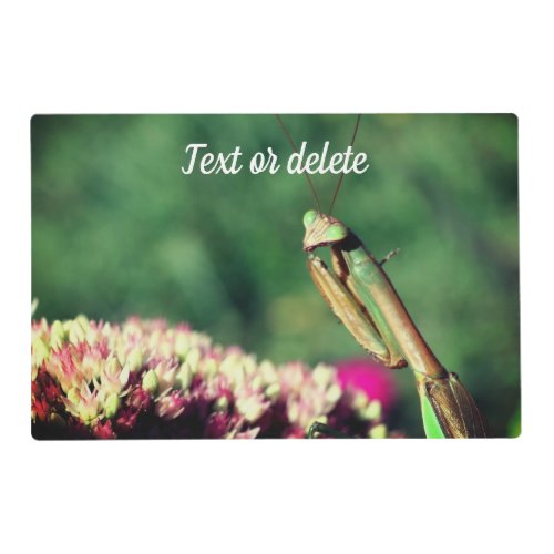 Praying Mantis Up Close Personalized Placemat