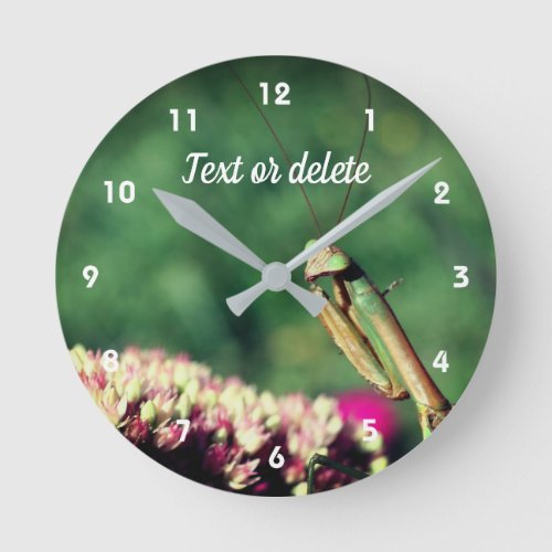 Praying Mantis Up Close Personalized Round Clock