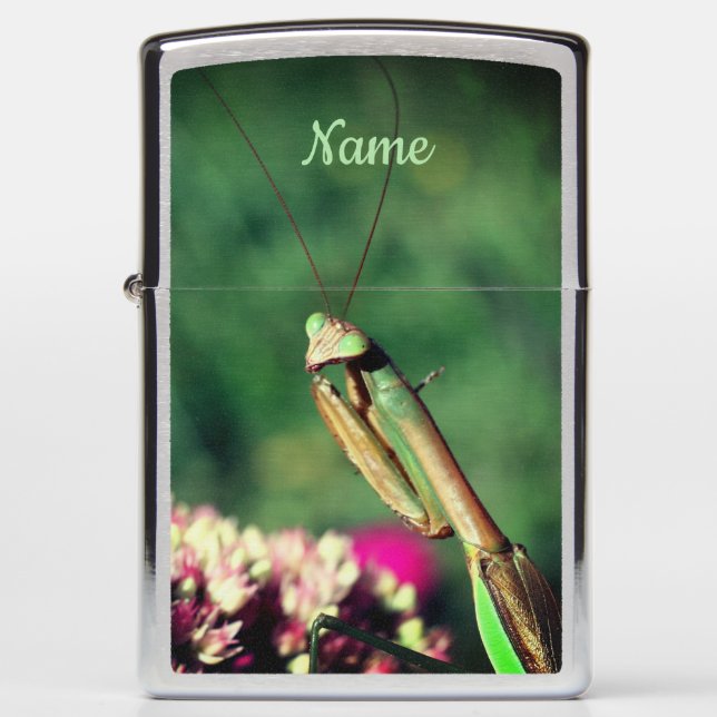 Praying Mantis Up Close Personalized Zippo Lighter (Front)